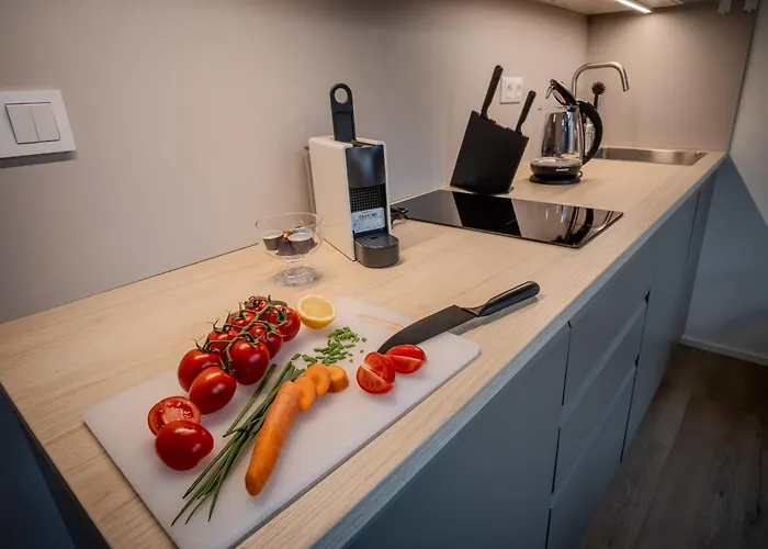 Chic Duplex In Historic Center & Netflix Apartamento Brno