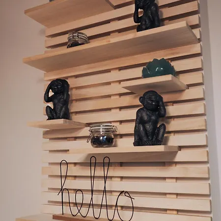 Chic Duplex In Historic Center & Netflix * 布尔诺