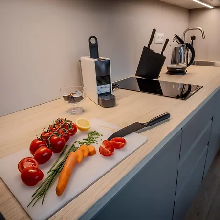 Chic Duplex In Historic Center & Netflix 公寓 布尔诺